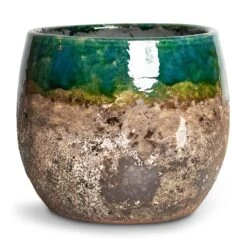 Lindy Plant Pot - Black Green -Plant potted plants Lindy Plant Pot Black Green 16x13cm