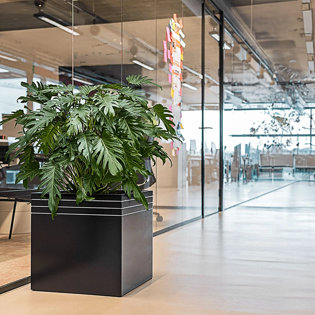 Line-Up Cube Planter - Matt Black 4 Line-Up Cube Planter - Matt Black - Image 2