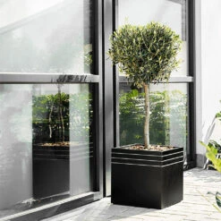 Line-Up Cube Planter - Matt Black 10 Line-Up Cube Planter - Matt Black -Plant potted plants Line Up Cube Planter Matt Black Lifestyle 2