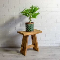 Livistona Rotundifolia - Footstool Palm -Plant potted plants Livistona rotundifolia Footstool Palm liam turquoise plant pot natural