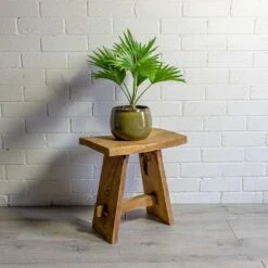 Livistona Rotundifolia - Footstool Palm -Plant potted plants Livistona rotundifolia Footstool Palm odile moss plant pot natural 83f6d3e0 e870 41e7 a65d 788a1f83be37