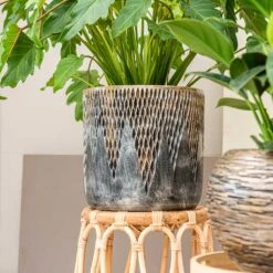 Luxe Lite Comet Cylinder Planter - Bronze -Plant potted plants Luxe Lite Comet Cylinder Planter Bronze Small Houseplant