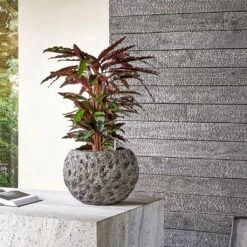 Luxe Lite Moon Globe Planter - Bronze -Plant potted plants Luxe Lite Universe Moon Globe Bronze