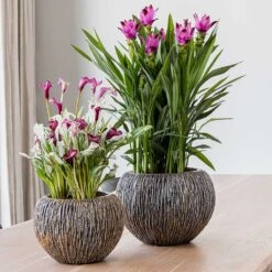 Luxe Lite Waterfall Globe Planter - Bronze 22 Luxe Lite Waterfall Globe Planter - Bronze -Plant potted plants Luxe Lite Universe Waterfall Globe Bronze Planters Small Houseplants