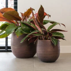 Lydia Plant Pot - Shiny Purple -Plant potted plants LydiaPlantPotShiny Purple 3