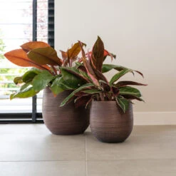 Lydia Plant Pot - Shiny Purple -Plant potted plants LydiaPlantPotShiny Purple 4