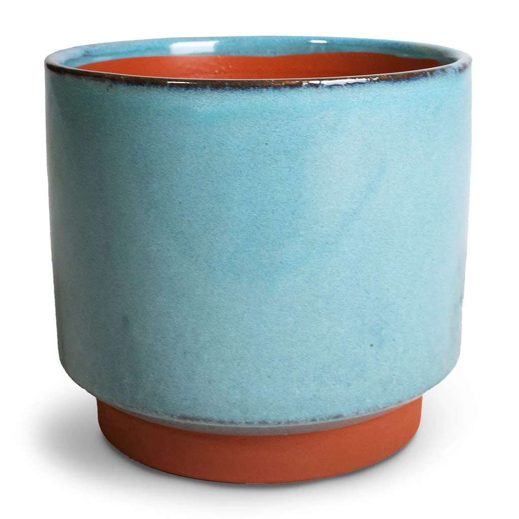 Malibu Plant Pot - Blue 3 Malibu Plant Pot - Blue