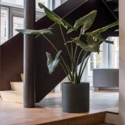 Max Refined Planter - Pine Green 22 Max Refined Planter - Pine Green -Plant potted plants Max Refined Planter Pine Green 1