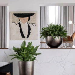 Metallic Plant Bowl - Matt Coffee 13 Metallic Plant Bowl - Matt Coffee -Plant potted plants MetallicPlantBowl MattCoffee 45x27cmPlantPotSizeCheck HortologyMetallicPlantBowl MattCoffee 1