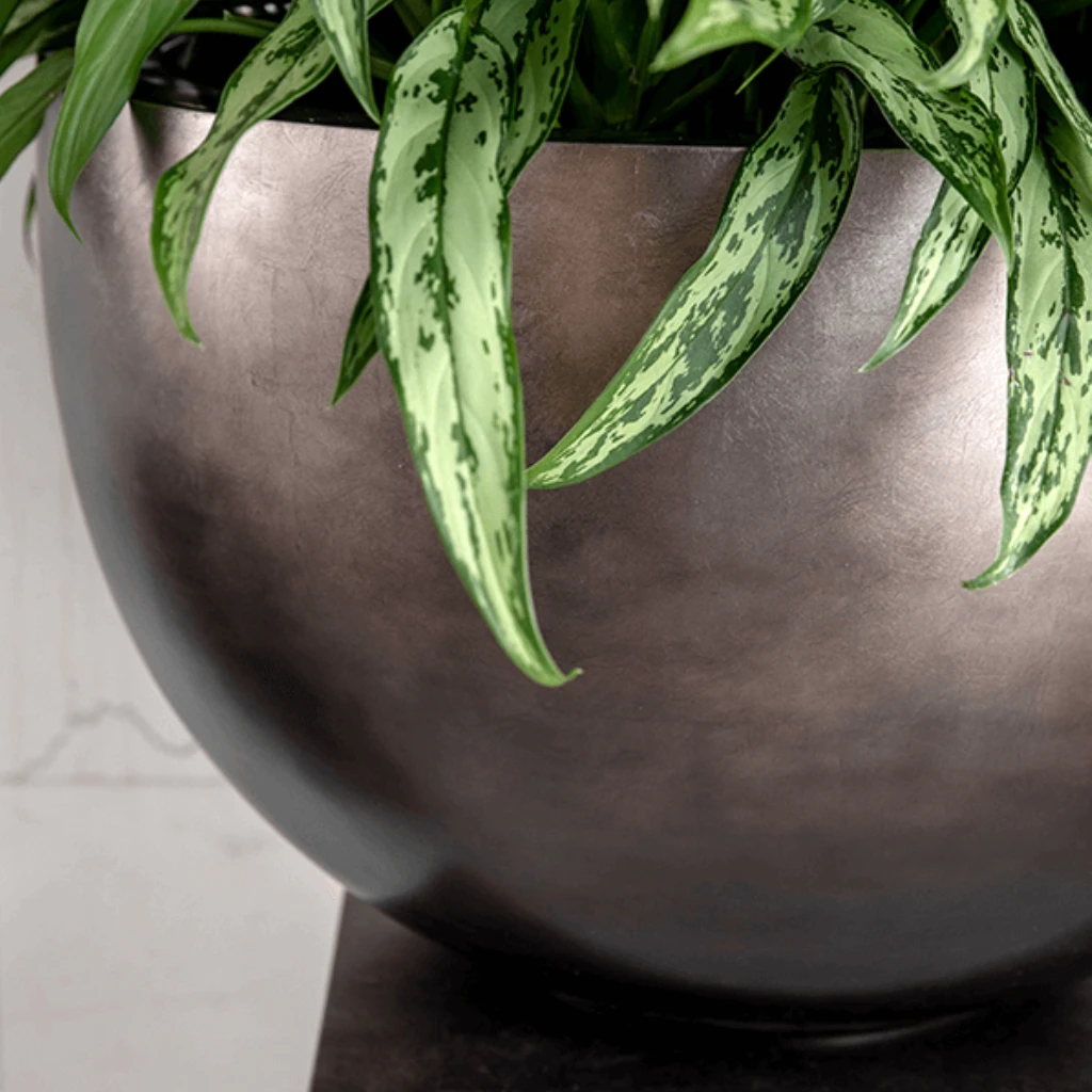 Metallic Plant Bowl - Matt Coffee 4 Metallic Plant Bowl - Matt Coffee - Image 2