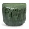 Moon Plant Pot - Jungle -Plant potted plants Moon Plant Pot Jungle 23x20cm