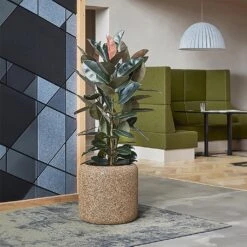 Naturescast Cylinder Planter - Natural -Plant potted plants Naturescast Cylinder Planter Natural Lifestyle