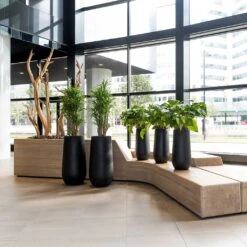 Plant potted plants -Plant potted plants Nax Natural Planter Black Office Planters