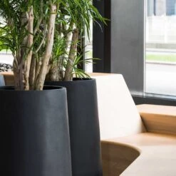 Nax Natural Tall Planter - Black -Plant potted plants Nax Natural Planter Black Office Planters Close Up