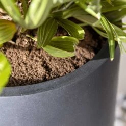 Nax Natural Tall Planter - Black -Plant potted plants Nax Natural Tall Planter Black 2