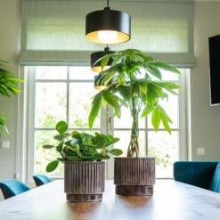 Nella Plant Pot - Coffee 15 Nella Plant Pot - Coffee -Plant potted plants Nella Coffee 2