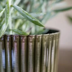 Nella Plant Pot - Forest -Plant potted plants Nella Forest 3
