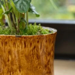 Nolan Plant Pot - Caramel 23 Nolan Plant Pot - Caramel -Plant potted plants Nolan Caramel 6