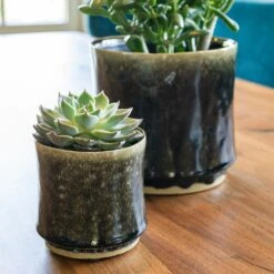 Nolan Plant Pot - Pine -Plant potted plants Nolan Pine 2