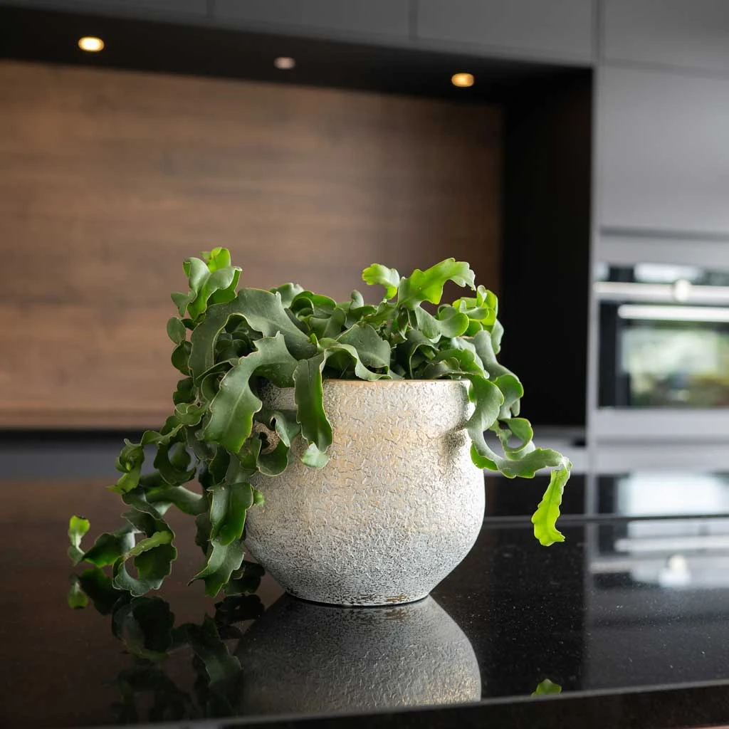 Noor Plant Pot - Metallic Grey 7 Noor Plant Pot - Metallic Grey - Image 5