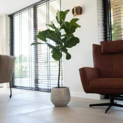 Noor Plant Pot - Metallic Grey 25 Noor Plant Pot - Metallic Grey -Plant potted plants Noor Plant Pot Metallic Grey 4