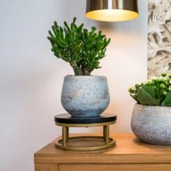 Noor Plant Pot - Metallic Grey 26 Noor Plant Pot - Metallic Grey -Plant potted plants Noor Plant Pot Metallic Grey 6