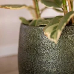 Noor Plant Pot - Velvet Green -Plant potted plants Noor Plant Pot Velvet Green 3