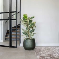 Noor Plant Pot - Velvet Green -Plant potted plants Noor Plant Pot Velvet Green 4