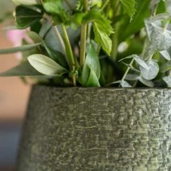 Noor Plant Vase - Velvet Green 16 Noor Plant Vase - Velvet Green -Plant potted plants Noor Plant Pot Velvet Green 5 c5477a95 00c2 40e5 97f9 53e78b6bc95c