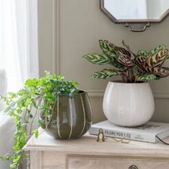 Nova Plant Pot - Green -Plant potted plants Nova Plant Pot Cream 23 x 18cm 11781764 6d1a 4491 88d6 b6d75afe7217