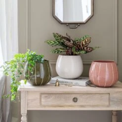 Nova Plant Pot - Cream -Plant potted plants Nova Plant Pot Rose 23 x 18cm 2