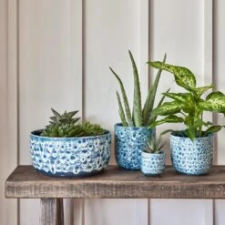 Ocean Glaze Plant Bowl - Sapphire -Plant potted plants Ocean Glaze Plant Bowl Sapphire 25 x 12.5cm 2 1