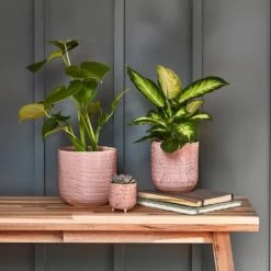 Ocean Glaze Plant Pot - Morganite -Plant potted plants Ocean Glaze Plant Pot Morganite 13 x 13cm