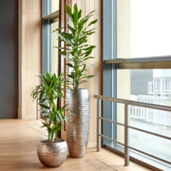 Opus Hammered Globe Planter - Silver -Plant potted plants Opus Hammered Globe Silver Opus Hammered Partner Silver