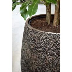 Opus Hit Darcy Planter - Gold 31 Opus Hit Darcy Planter - Gold -Plant potted plants Opus Hit Darcy Planter Gold Close Up