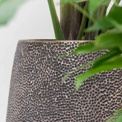Opus Hit Darcy Planter - Gold 33 Opus Hit Darcy Planter - Gold -Plant potted plants Opus Hit Darcy Planter Gold Textures