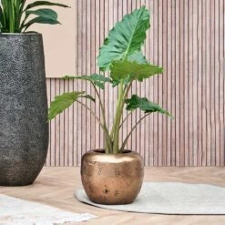 Opus Raw Couple Planter - Gold 33 Opus Raw Couple Planter - Gold -Plant potted plants Opus Raw Couple Planter Gold