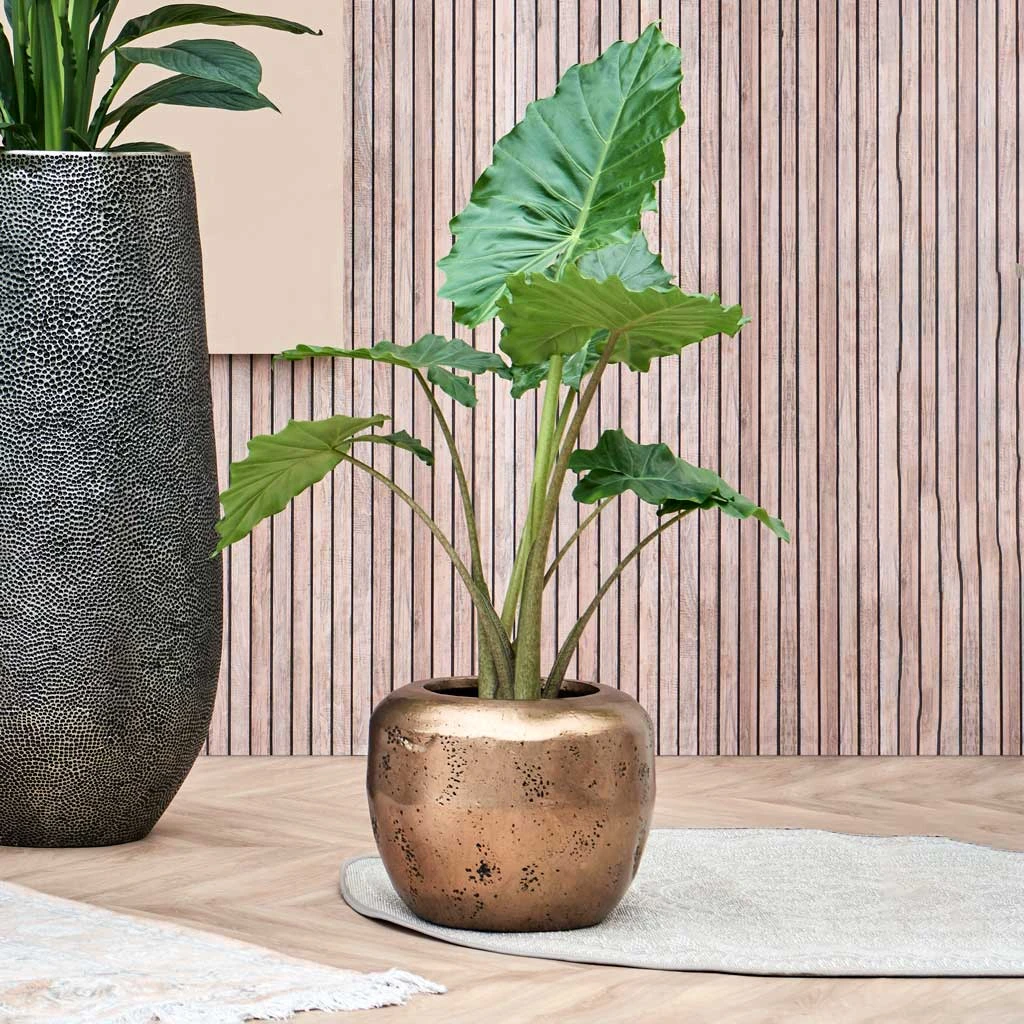 Opus Raw Couple Planter - Gold 14 Opus Raw Couple Planter - Gold - Image 12