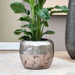 Opus Raw Couple Planter - Silver -Plant potted plants Opus Raw Couple Planter Silver