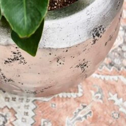 Opus Raw Couple Planter - Silver -Plant potted plants Opus Raw Hit Silver 2