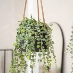 Patt Hanging Plant Pot - Black Washed 21 Patt Hanging Plant Pot - Black Washed -Plant potted plants Patt Hanging Plant Pot Black Washed Trailing Houseplant