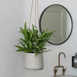 Patt Hanging Plant Pot - Grey Washed 21 Patt Hanging Plant Pot - Grey Washed -Plant potted plants Patt Hanging Plant Pot Grey Washed