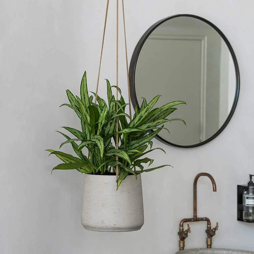 Patt Hanging Plant Pot - Grey Washed 9 Patt Hanging Plant Pot - Grey Washed - Image 7