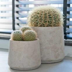 Patt Plant Pot - Grey Washed 29 Patt Plant Pot - Grey Washed -Plant potted plants Patt Plant Pot Grey Washed Cacti