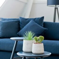 Patt Plant Pot - Grey Washed 25 Patt Plant Pot - Grey Washed -Plant potted plants Patt Plant Pot Grey Washed Houseplants