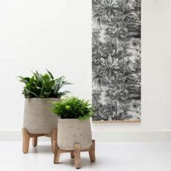 Patt Plant Pot - Low Stand - Grey Washed 12 Patt Plant Pot - Low Stand - Grey Washed -Plant potted plants Patt Plant Pot Low Stand Grey Washed Lifestyle 01