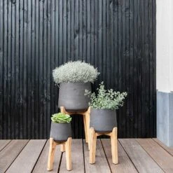 Patt Plant Pot - Tall Stand - Black Washed -Plant potted plants Patt Plant Pot Tall Stand Black Washed Lifestyle 01