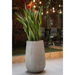Patt High Plant Vase - Ridged Cement -Plant potted plants PattHighPlantVase RidgedCement 5