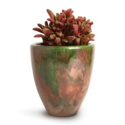 Peperomia Graveolens - Ruby Glow Radiator Plant -Plant potted plants Peperomia graveolens Ruby Glow Radiator Plant 10.5x17cm Livin Beauty Flowerpot Copper Green Matt Smooth 15x17cm