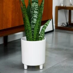 Pisa Plant Pot - White -Plant potted plants Pisa Plant Pot White 20 x 24cm